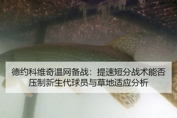 de-yue-ke-wei-qi-wen-wang-bei-zhan-ti-su-duan-fen-zhan-shu-neng-fou-ya-zhi-xin-sheng-dai-qiu-yuan-yu-cao-di-shi-ying-2-886.jpg