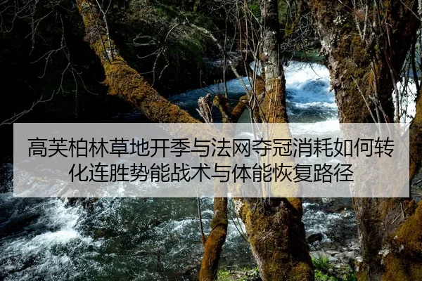 gao-fu-bo-lin-cao-di-kai-ji-yu-fa-wang-duo-guan-xiao-hao-ru-he-zhuan-hua-lian-sheng-shi-neng-zhan-shu-yu-ti-neng-hui-fu-2-446.jpg