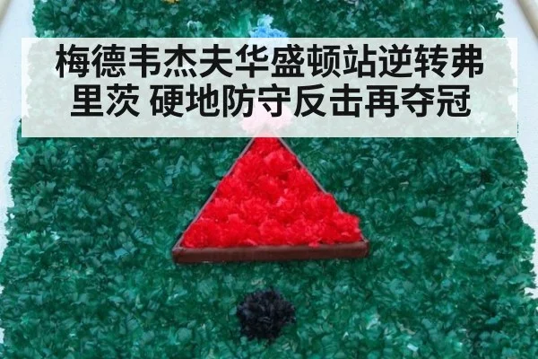 梅德韦杰夫华盛顿站逆转弗里茨 硬地防守反击再夺冠